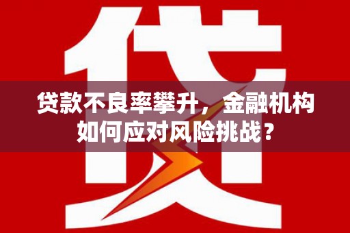 同江贷款不良率攀升，金融机构如何应对风险挑战？