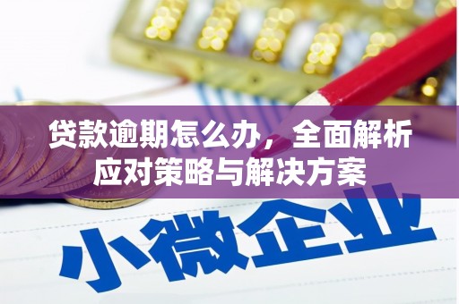 同江贷款逾期怎么办，全面解析应对策略与解决方案